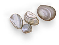 stones