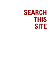 Search This Site