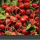 Photo of radishes