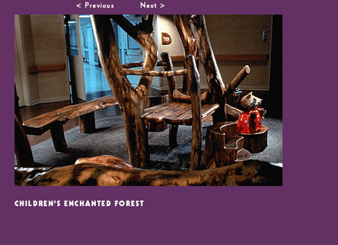 Children's Enchanted Forest