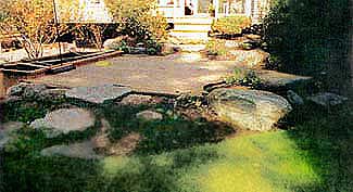 Massachusetts Landscaping Design Build Firm