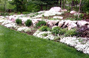 Massachusetts Landscaping Design Build Firm