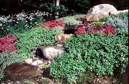 Massachusetts Landscaping Design Build Firm