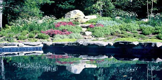 Massachusetts Landscaping Design Build Firm