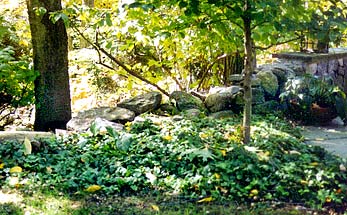 Massachusetts Landscaping Design Build Firm